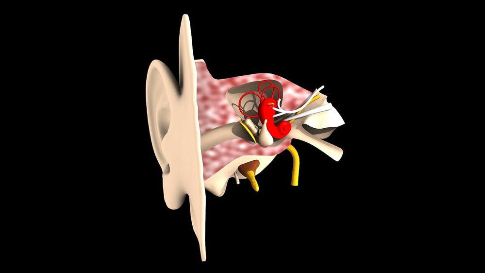 Какви са причините за острото и хроничното възпаление на средното ухо